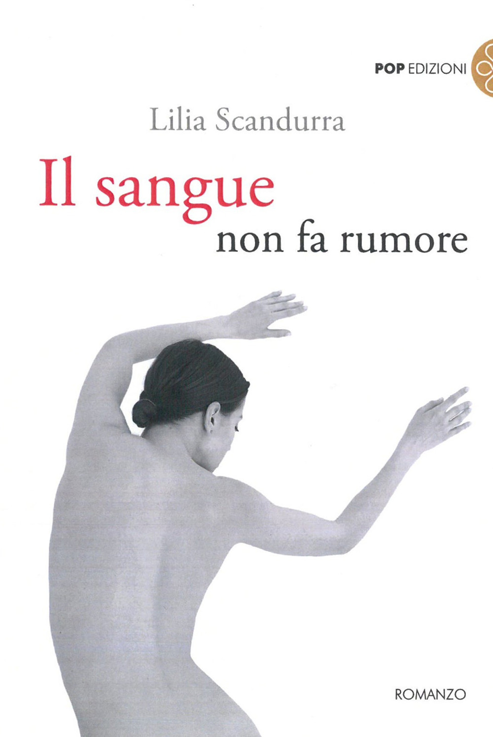 Il sangue non fa rumore