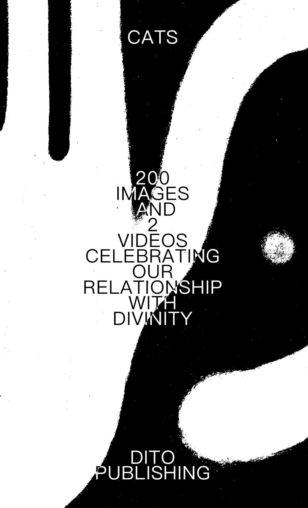 Cats. 200 images and 2 videos celebrating our relationship with divinity