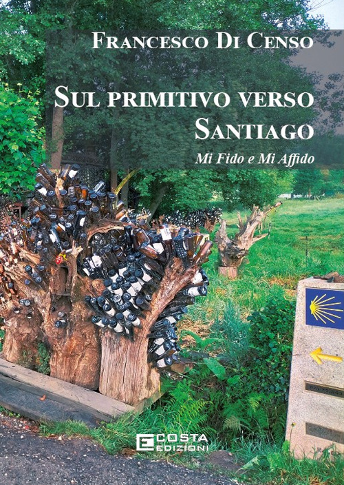 Sul primitivo verso Santiago