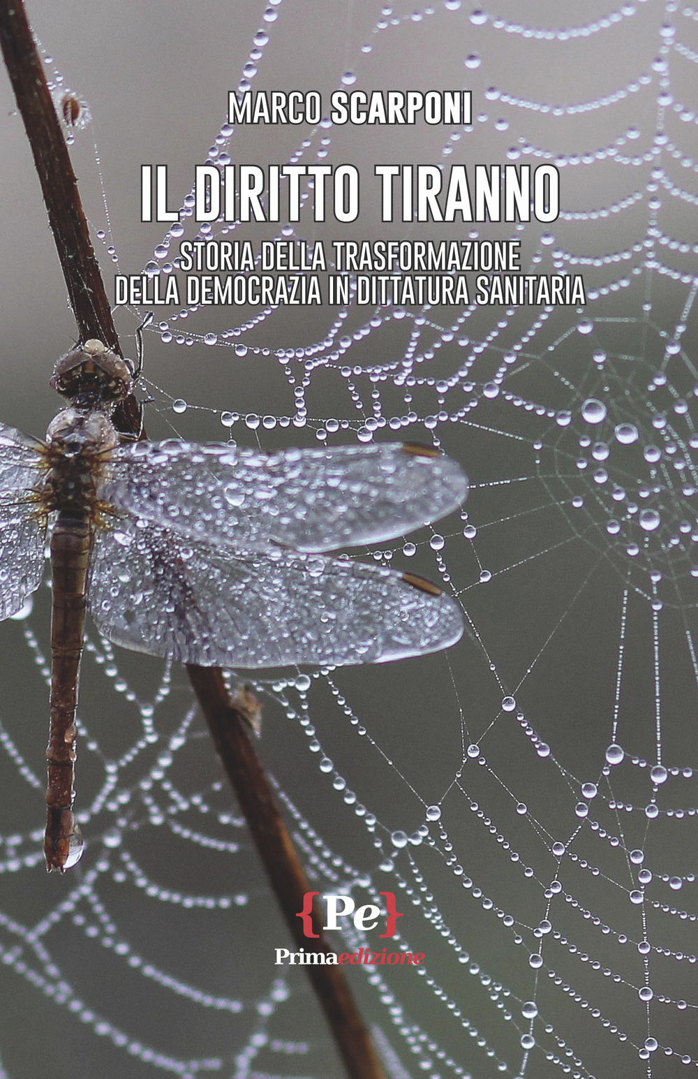 Il diritto tiranno. Storia della trasformazione della democrazia in dittatura sanitaria