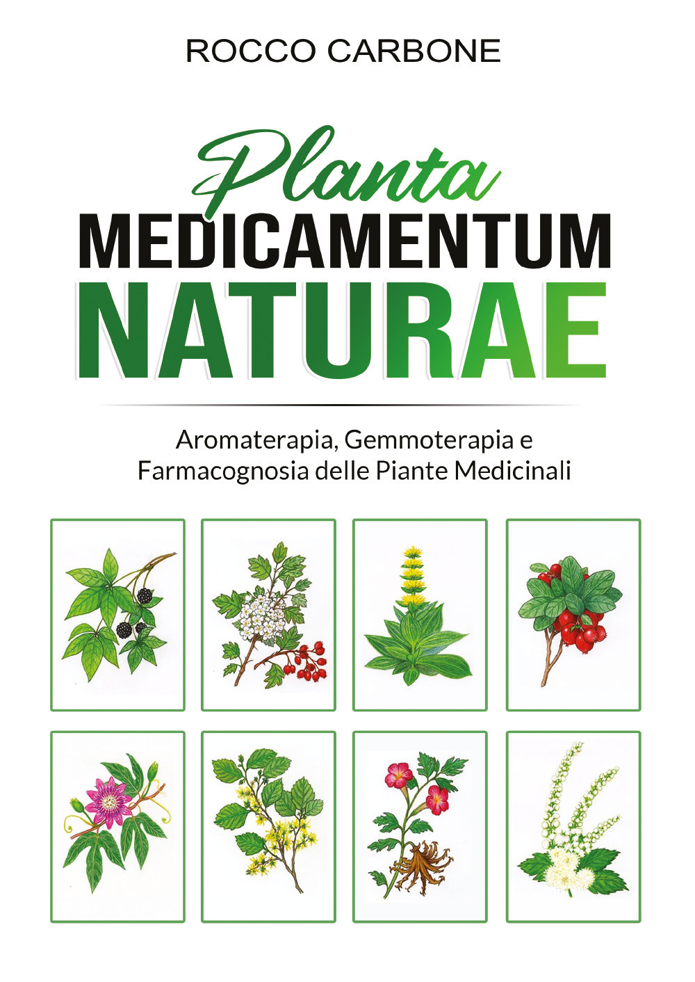 Planta medicamentum naturae. Aromaterapia, gemmoterapia e fitoterapia