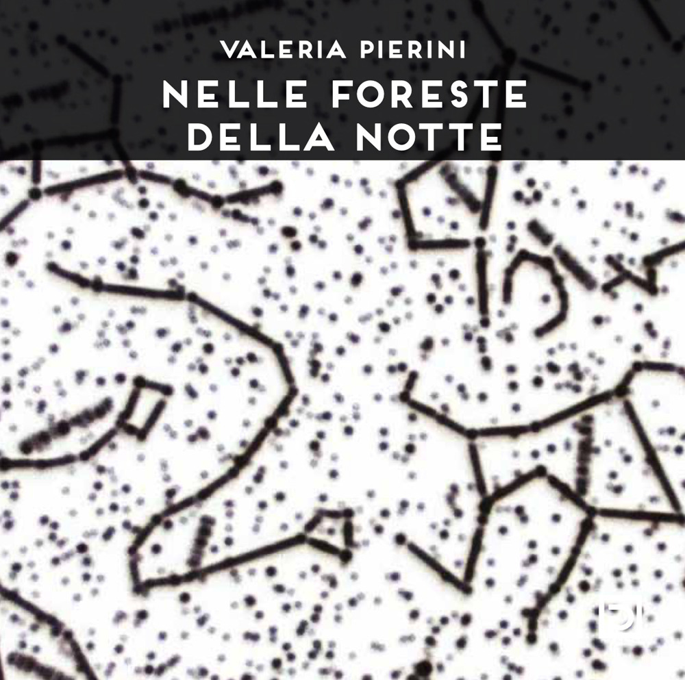 Nelle foreste della notte