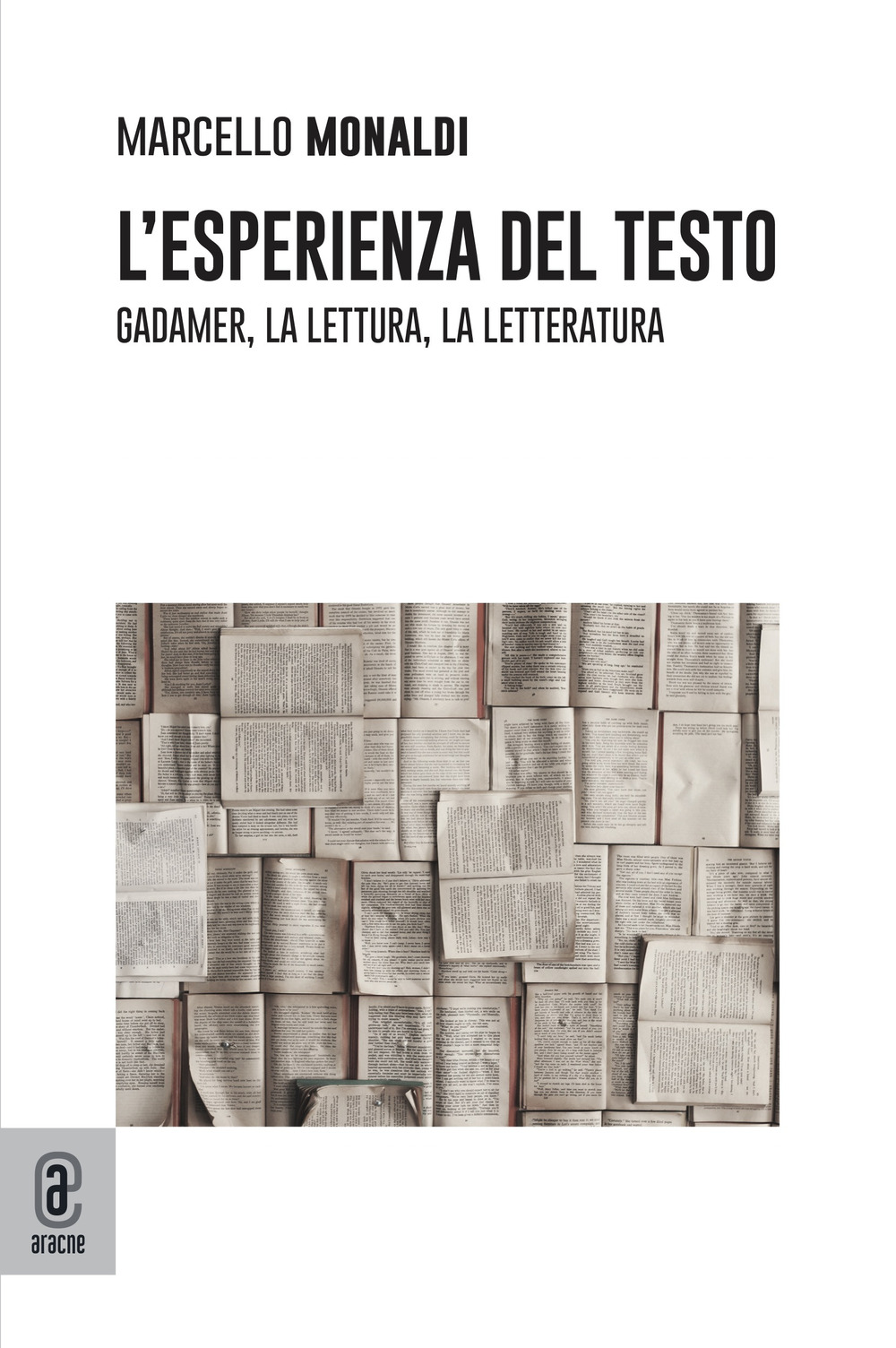 L'esperienza del testo. Gadamer, la lettura, la letteratura