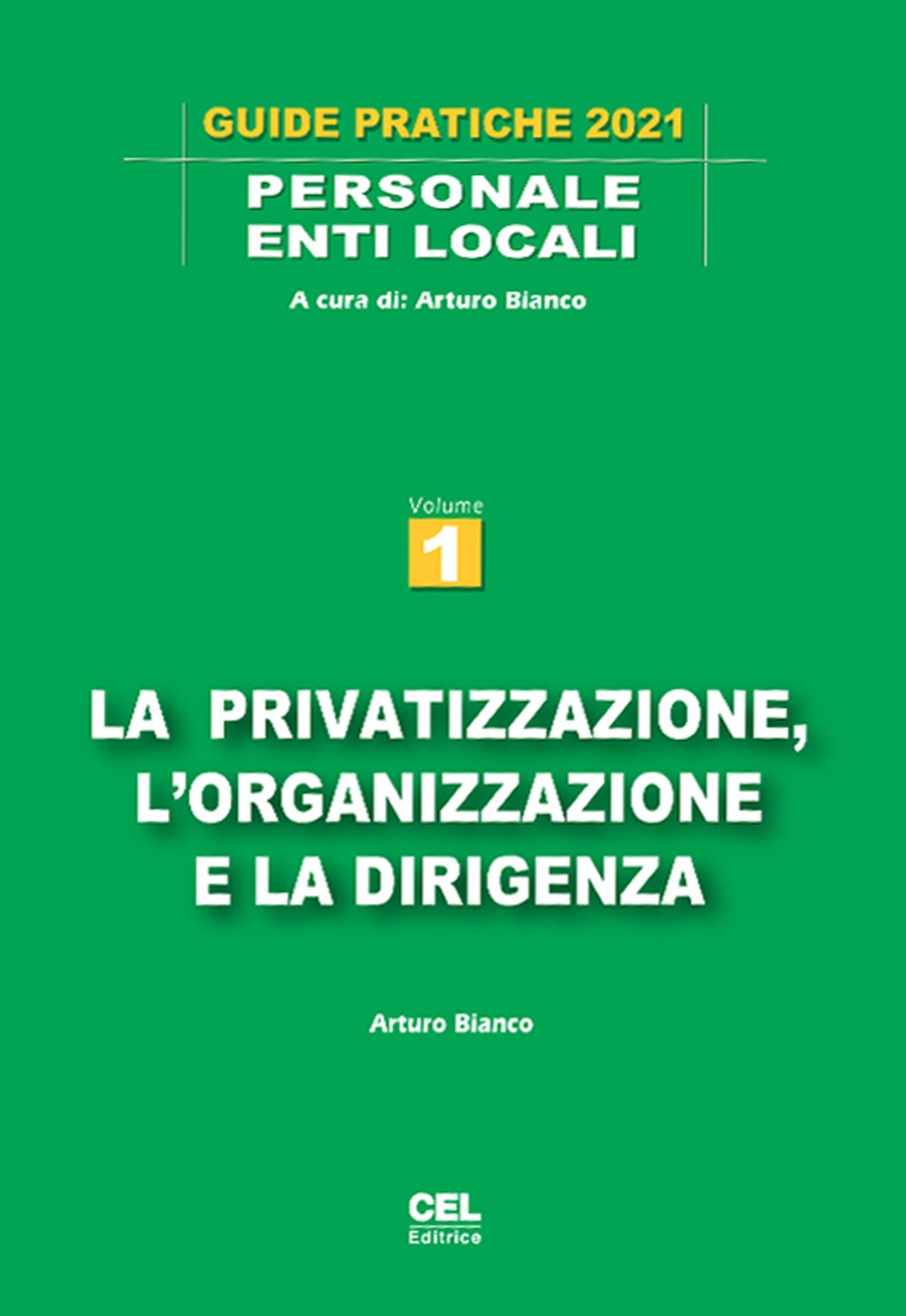 La privatizzazione, l'organizzazione e la dirigenza