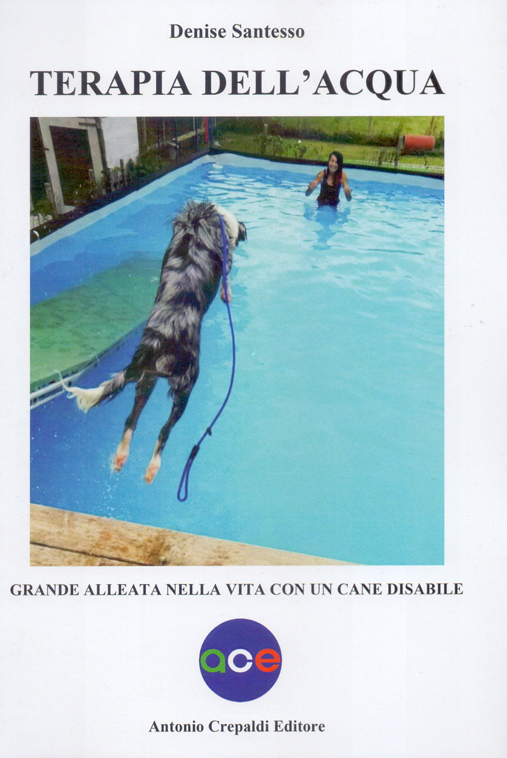 Terapia dell'acqua. Grande alleata nella vita con un cane disabile