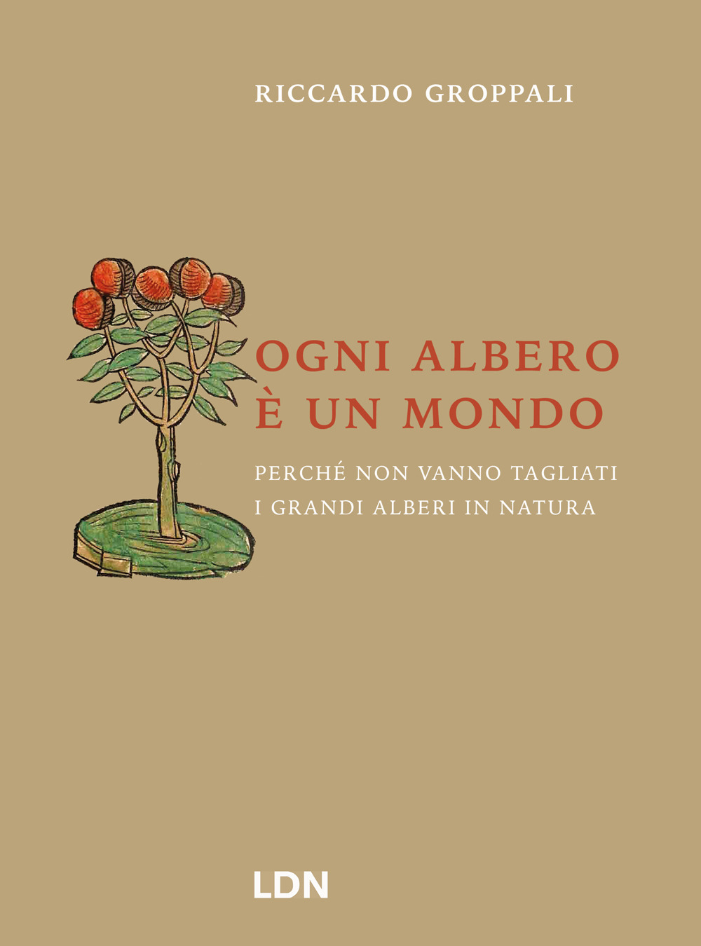 Ogni albero è un mondo. Perché non vanno tagliati i grandi alberi in natura