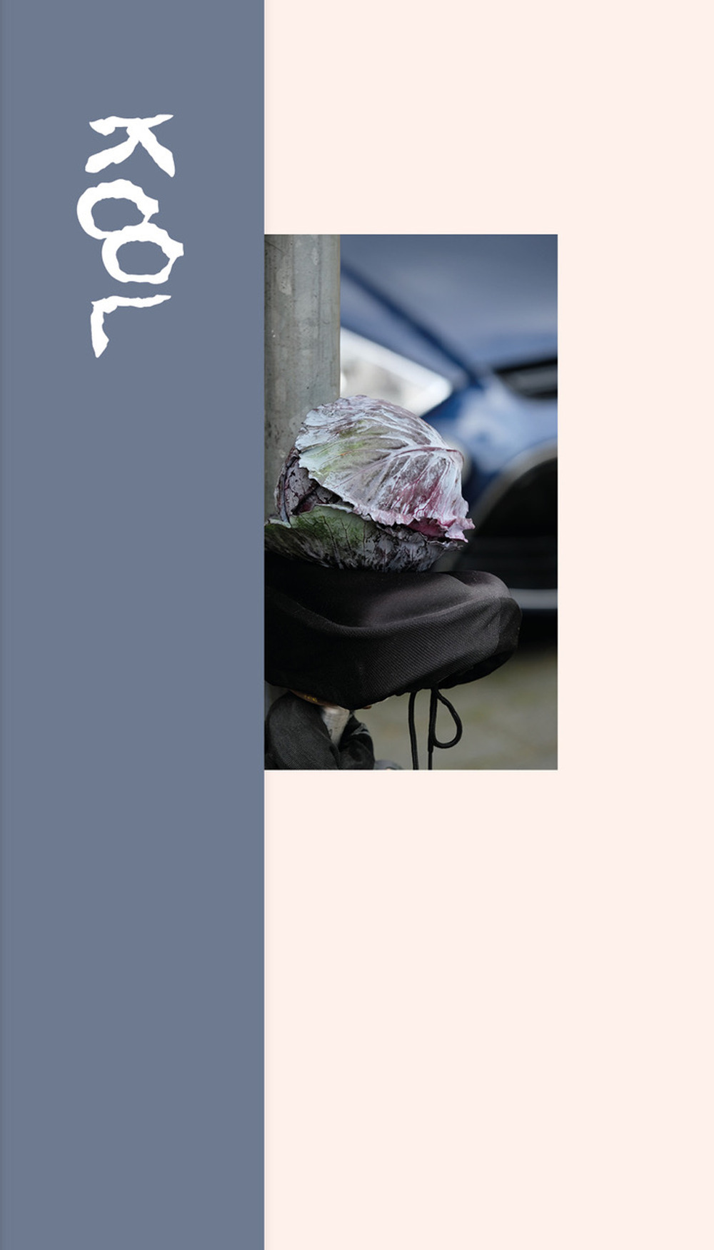 Magali Reus: Kool. A type specimen