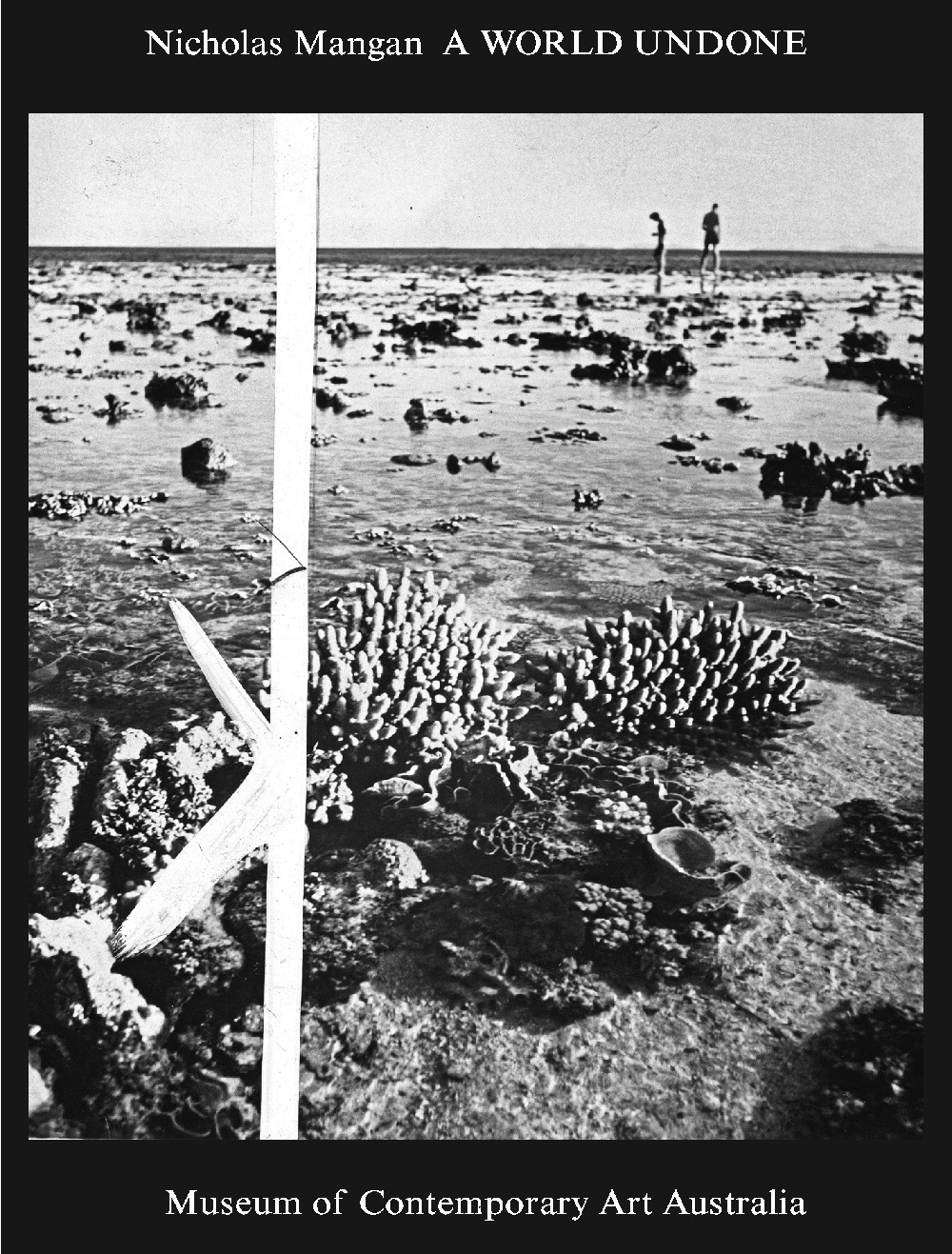 Nicholas Mangan. A world undone