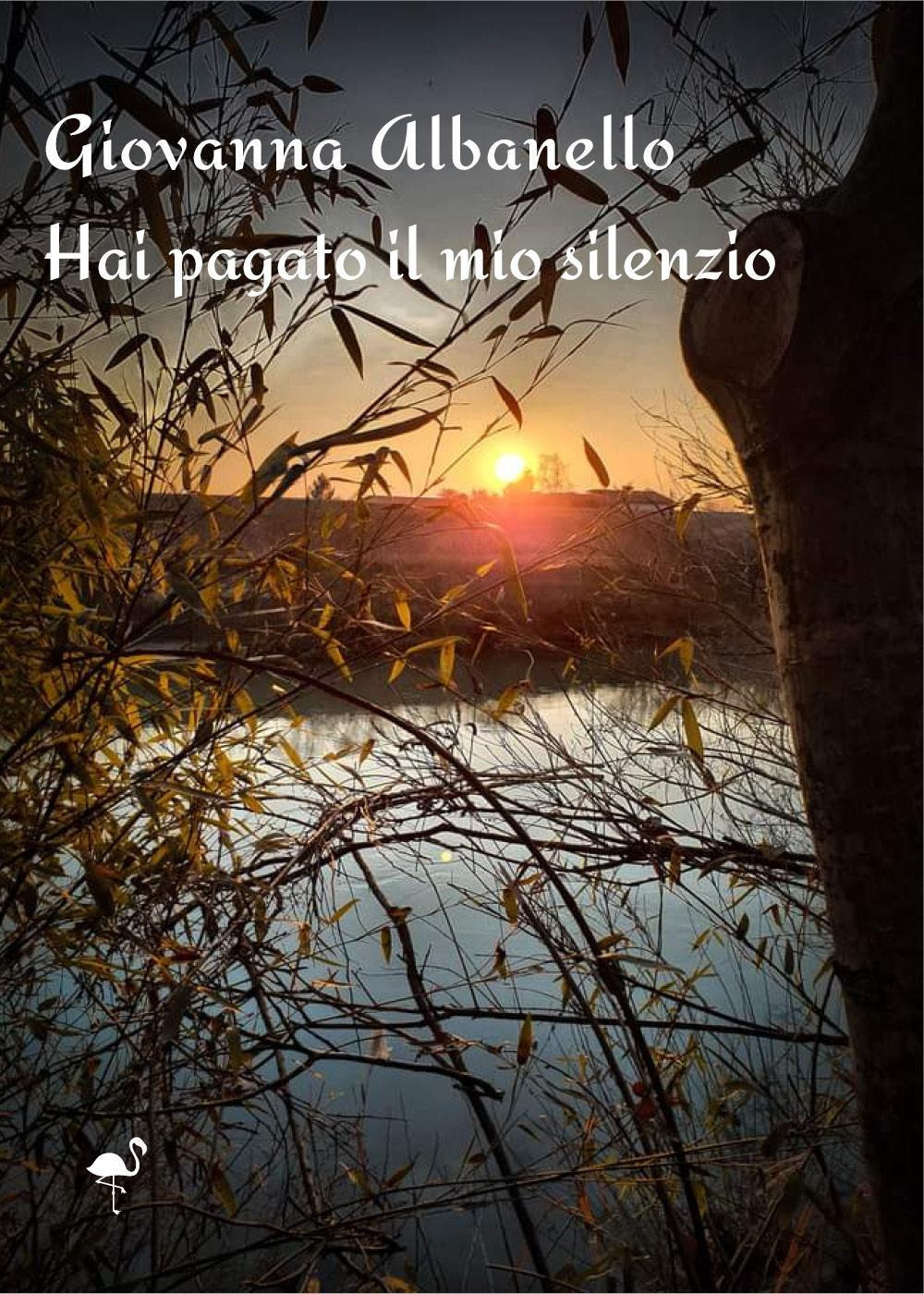 Hai pagato il mio silenzio