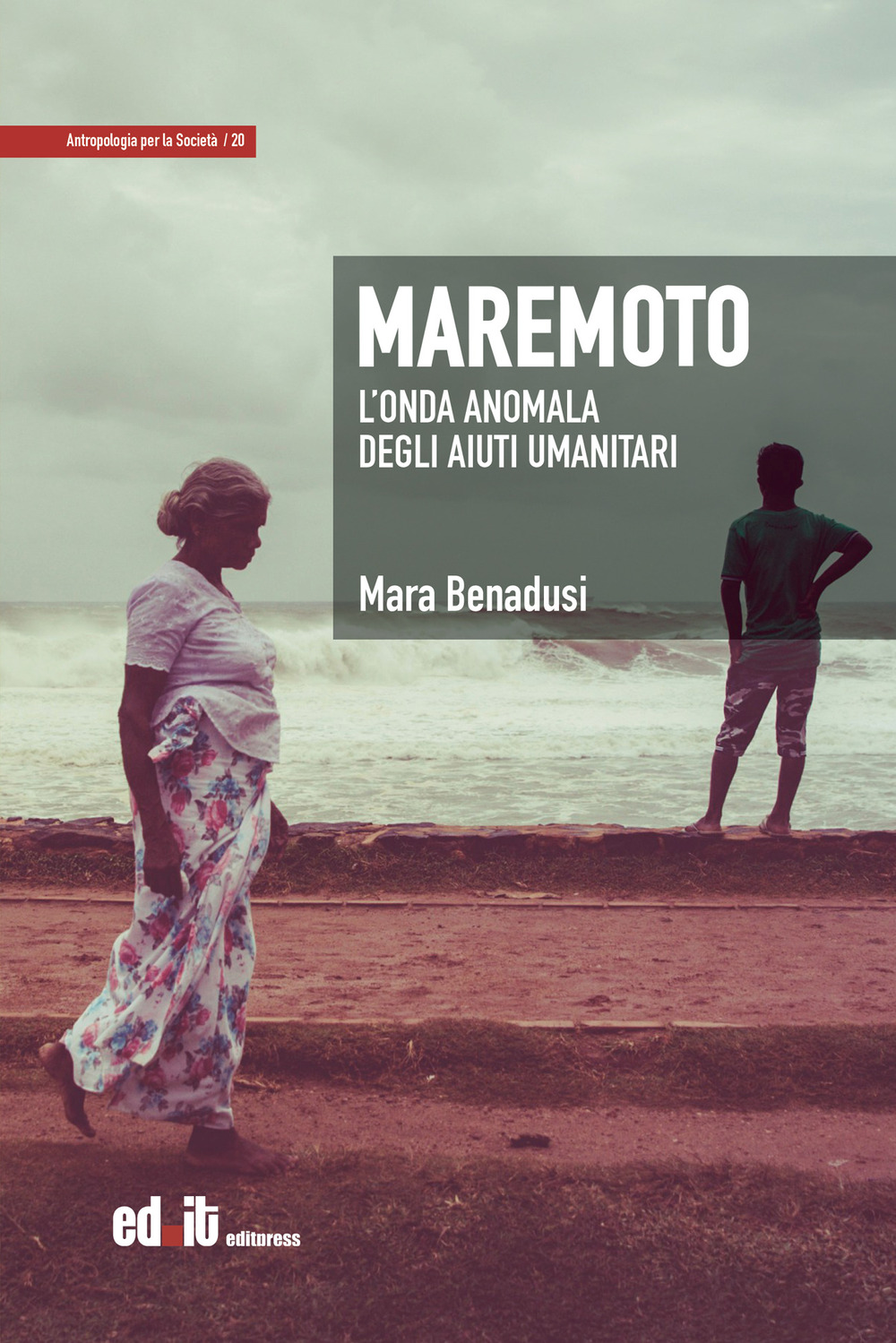 Maremoto. L'onda anomala degli aiuti umanitari