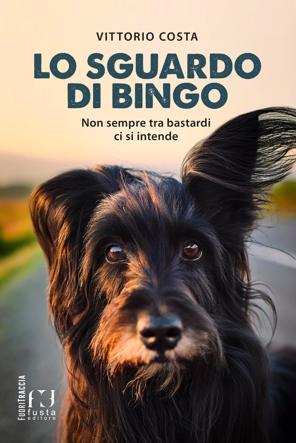 Lo sguardo di Bingo. Non sempre tra bastardi ci si intende