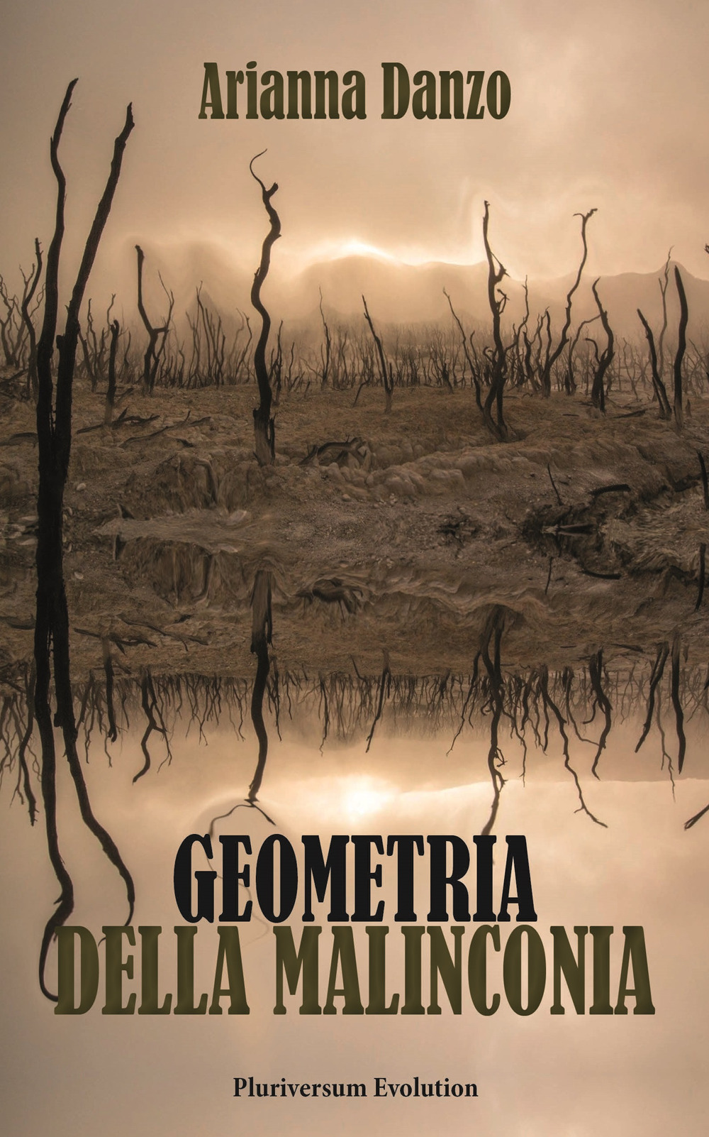 Geometria della malinconia