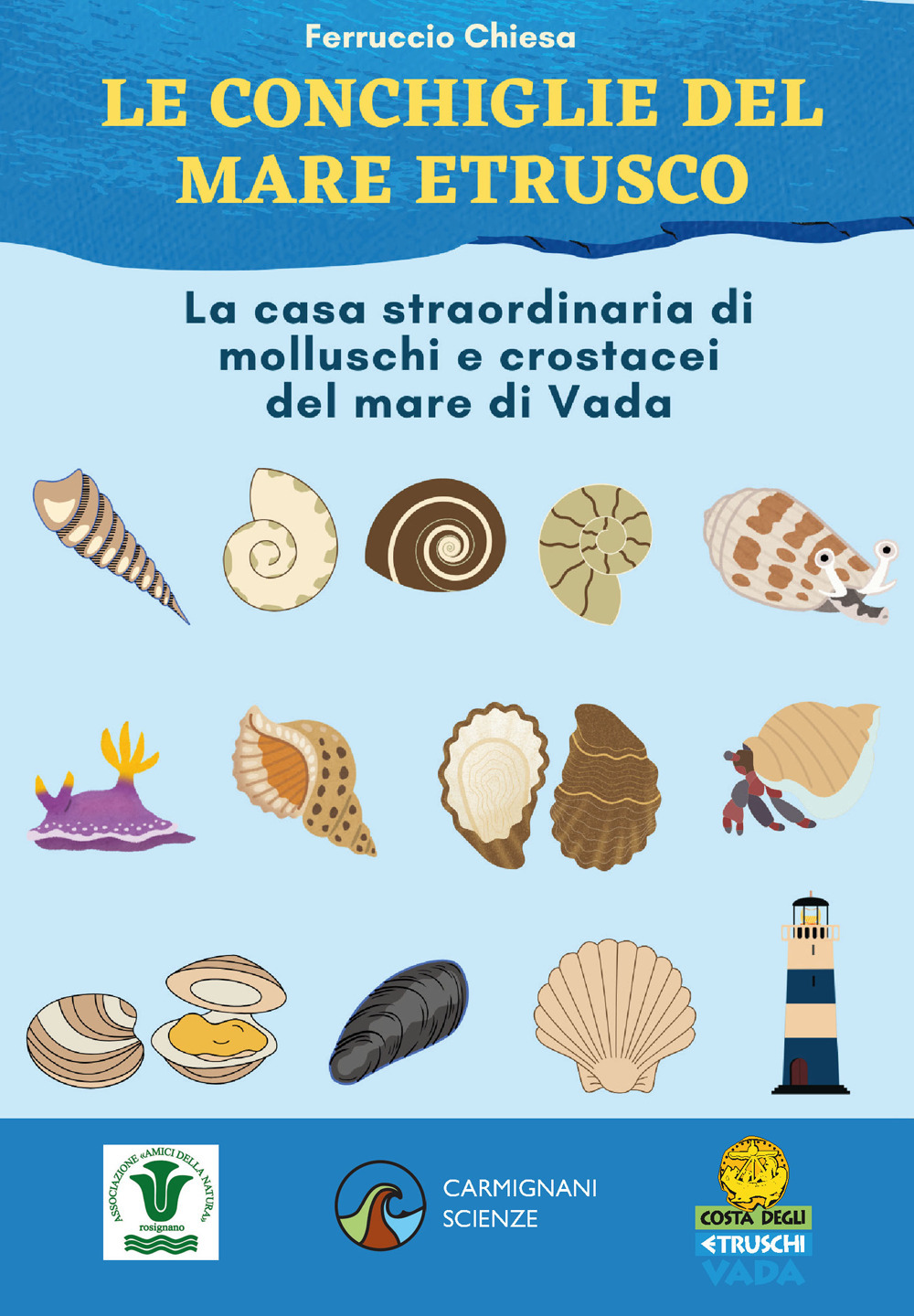 Le conchiglie del mare etrusco. La casa straordinaria di molluschi e crostacei