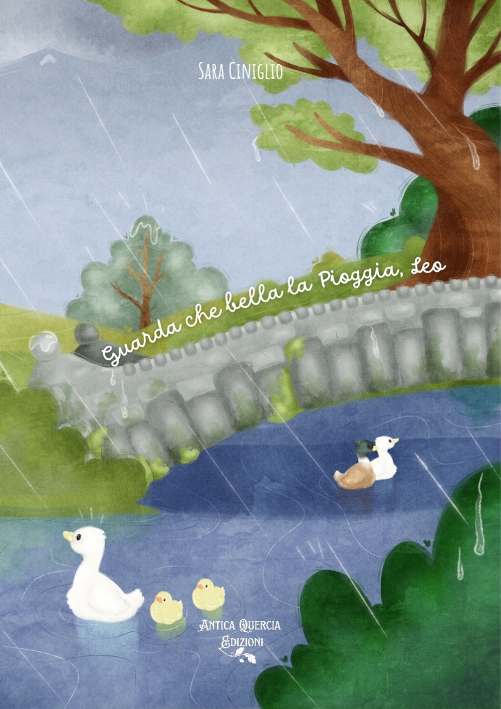 Guarda che bella la pioggia, Leo