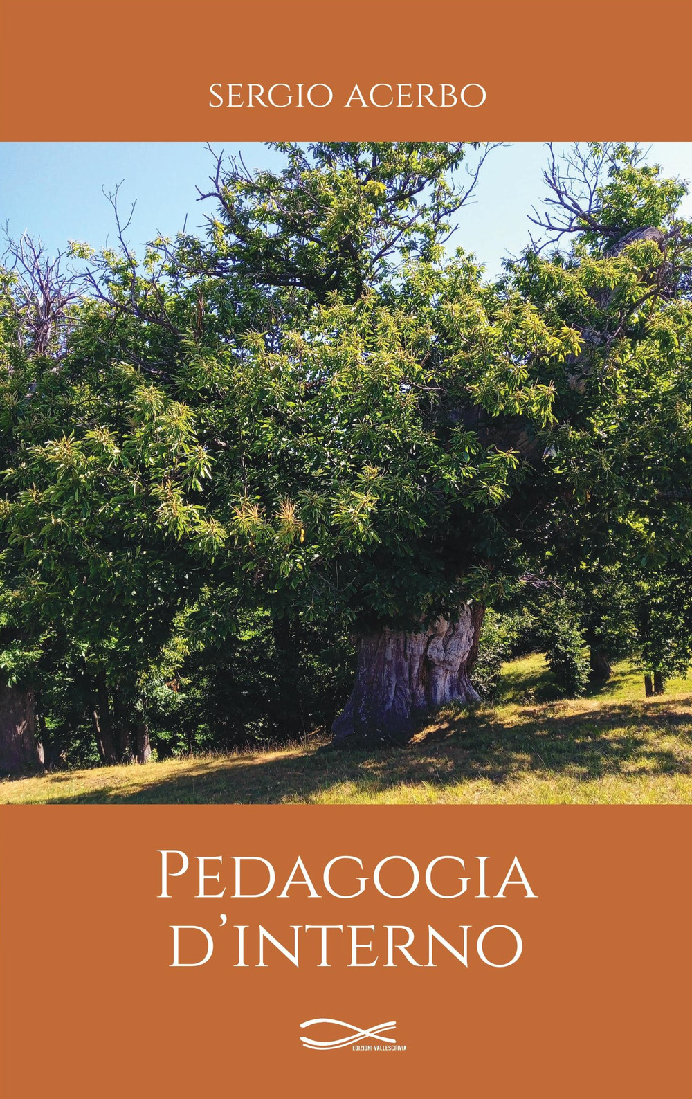 Pedagogia d'interno