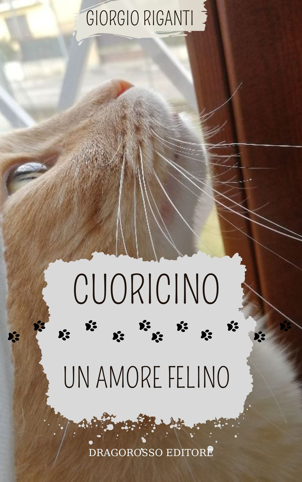 Cuoricino, amore felino