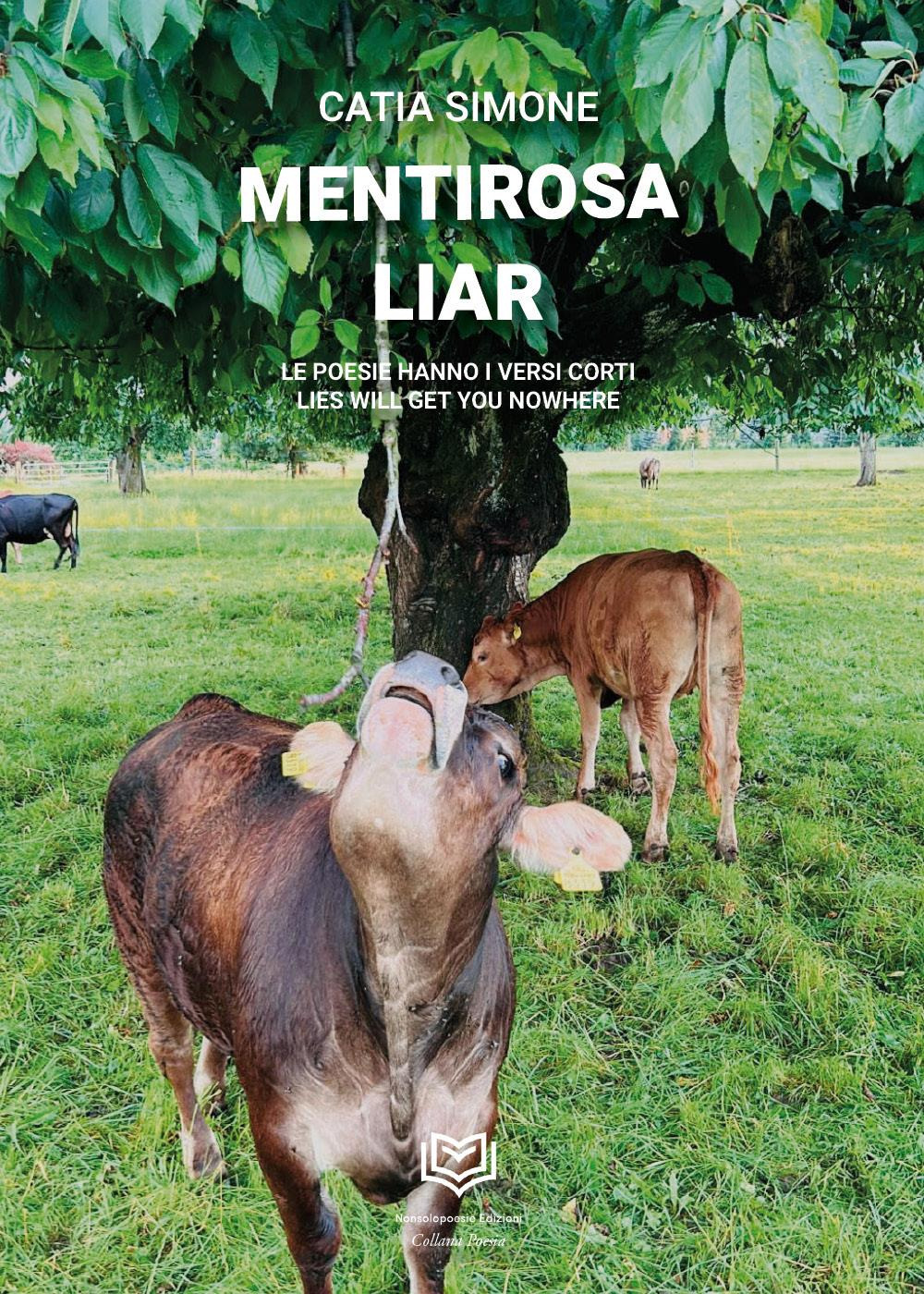 Mentirosa. Le poesie hanno i versi corti-Liar. Lies will get you nowhere