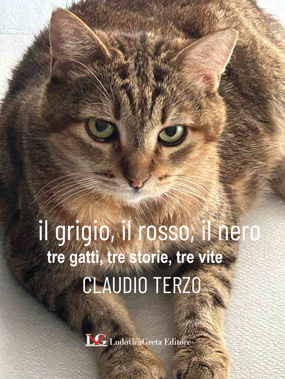 Il grigio, il rosso, il nero. Tre gatti, tre storie, tre vite
