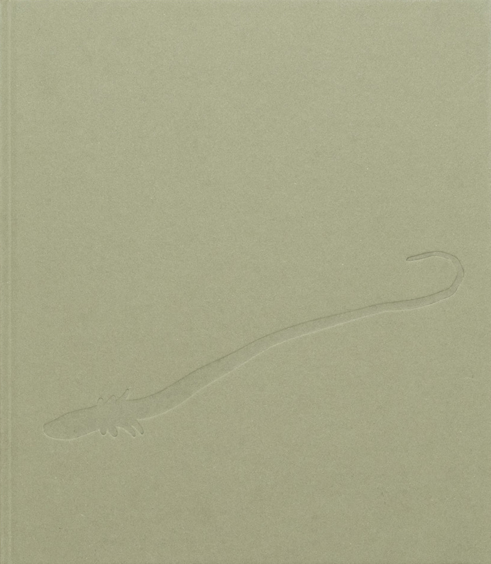 Chiara Camoni. Serpentesse