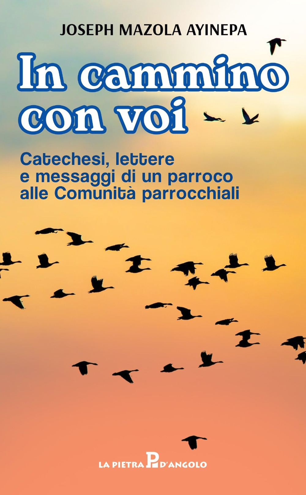 In cammino con voi. Catechesi, lettere e messaggi di un parroco alle Comunità parrocchiali