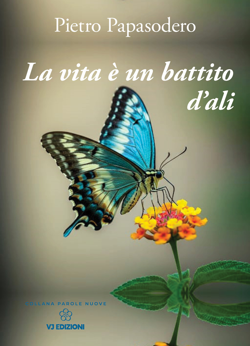 La vita è un battito d'ali