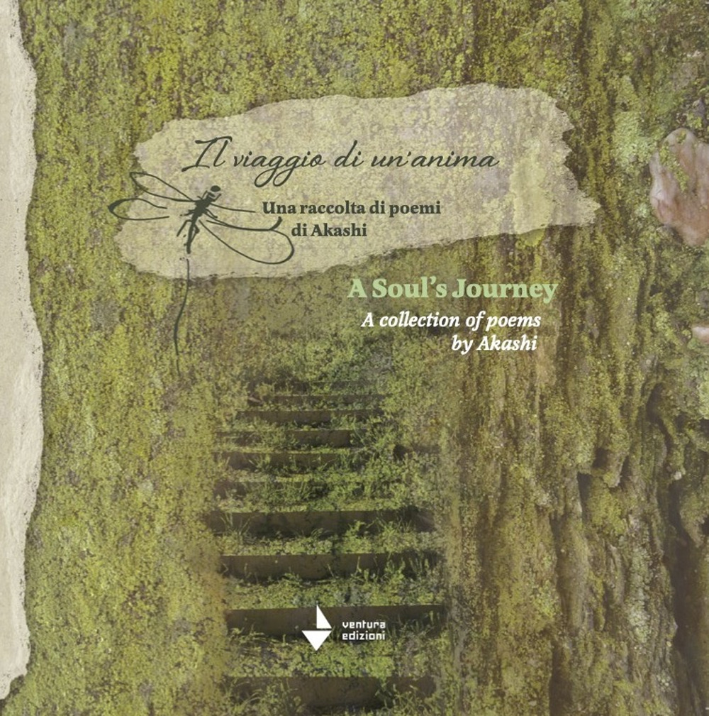 A souls journey. A collection of phoems by Akashi