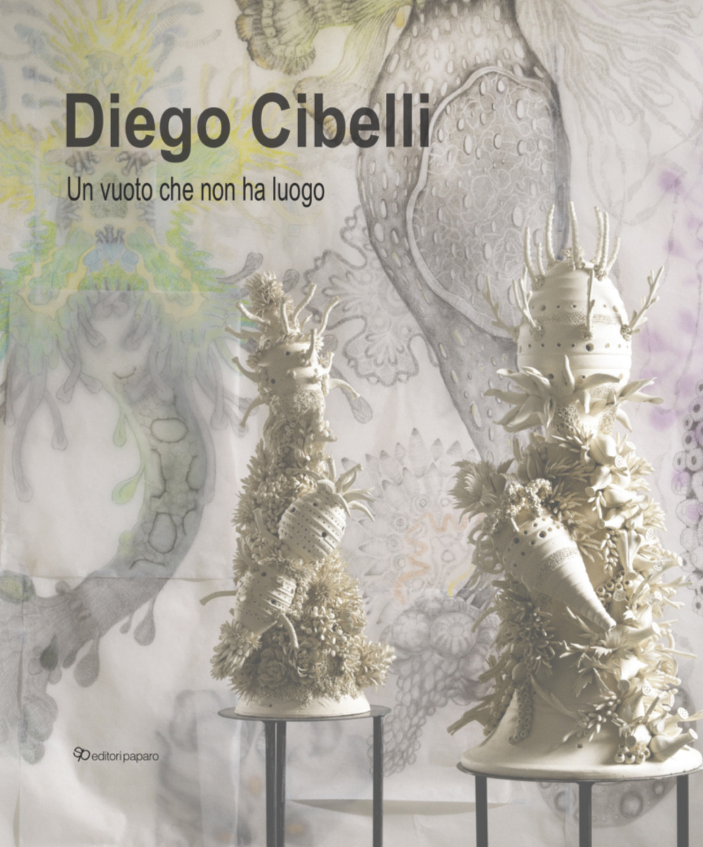 Diego Cibelli. Un vuoto che non ha luogo
