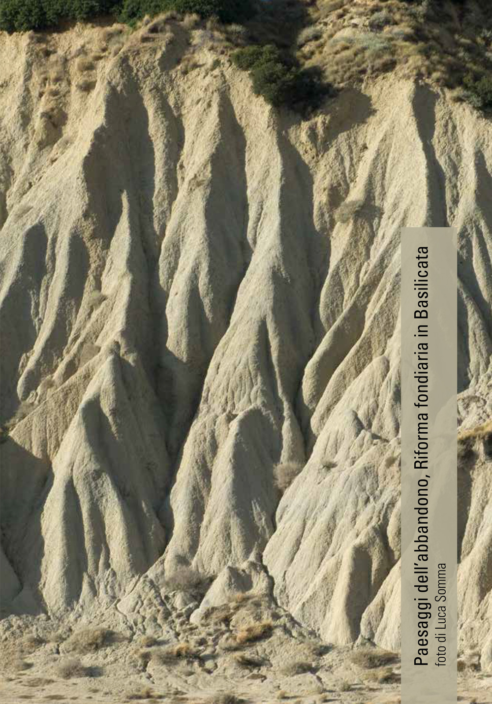 Paesaggi dell'abbandono. Riforma fondiaria in Basilicata