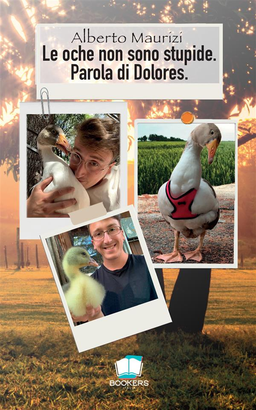 Le oche non sono stupide. Parola di Dolores