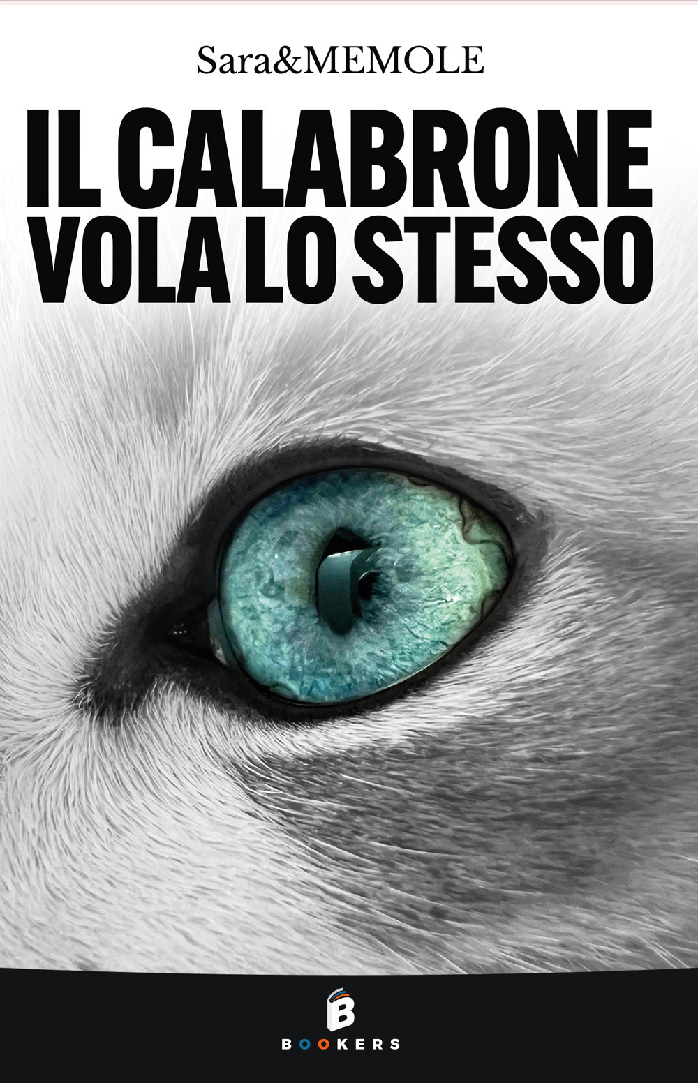 Il calabrone vola lo stesso