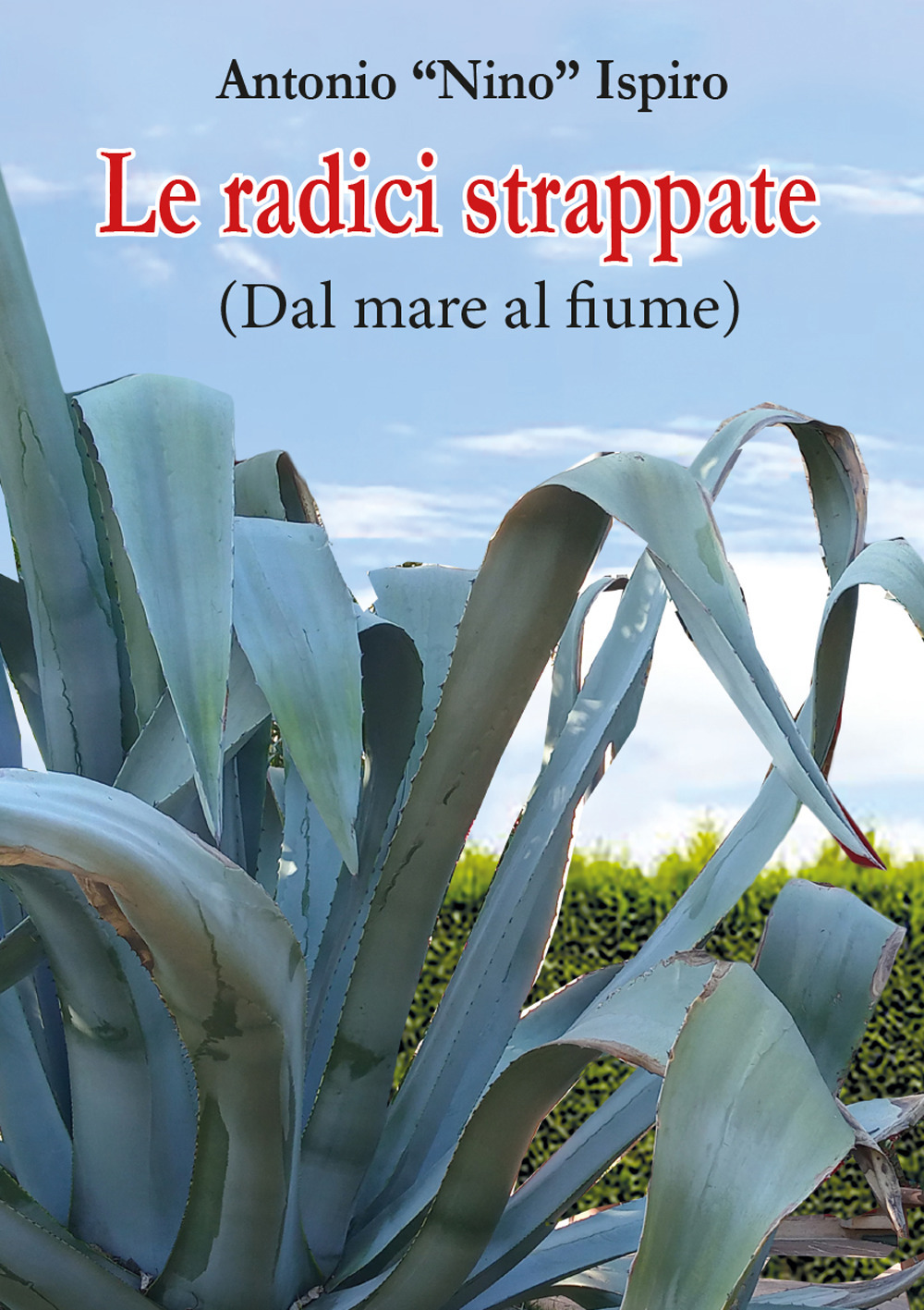 Le radici strappate (dal mare al fiume)