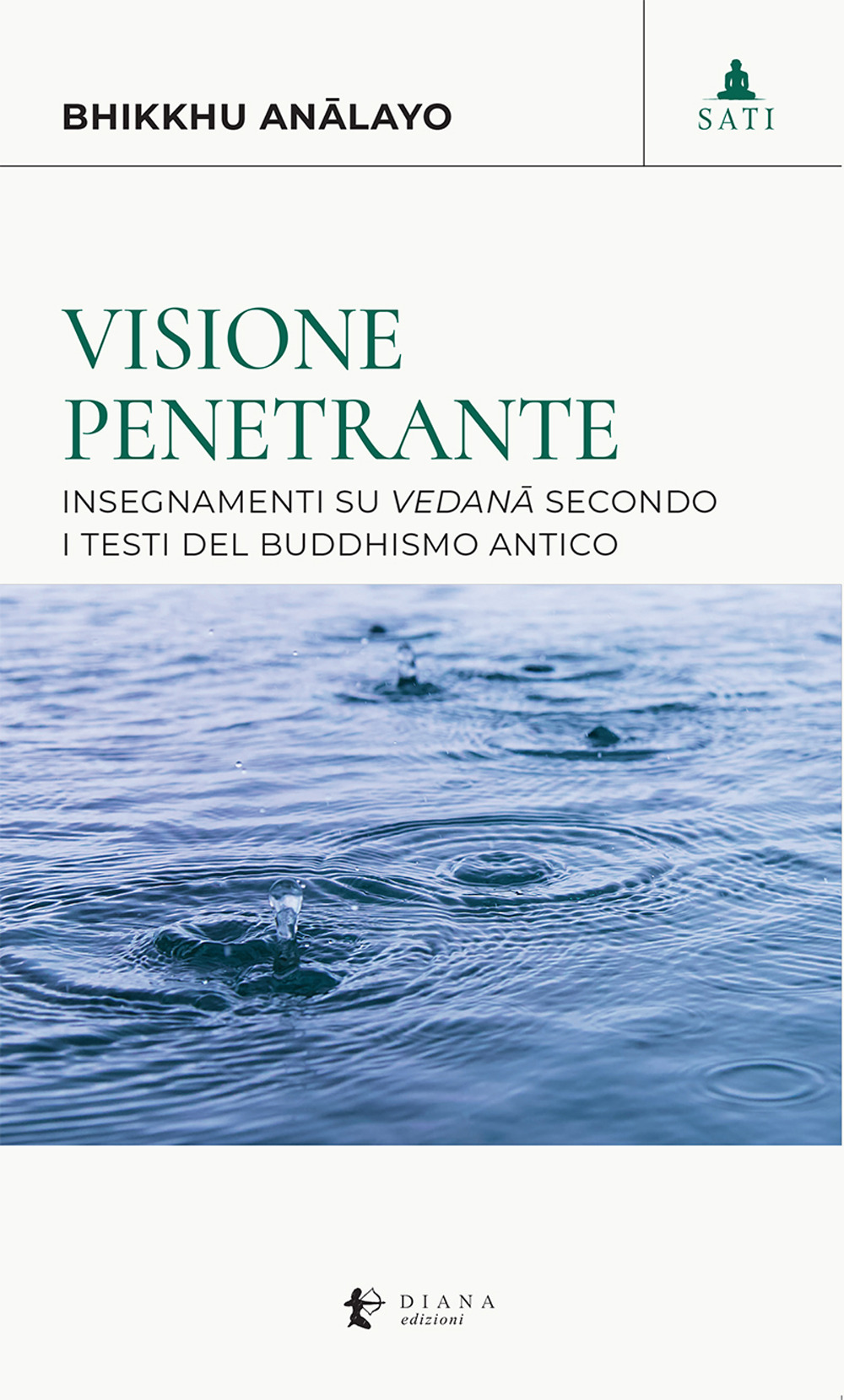 Visione penetrante. Insegnamenti su vedanā secondo i testi del buddhismo antico