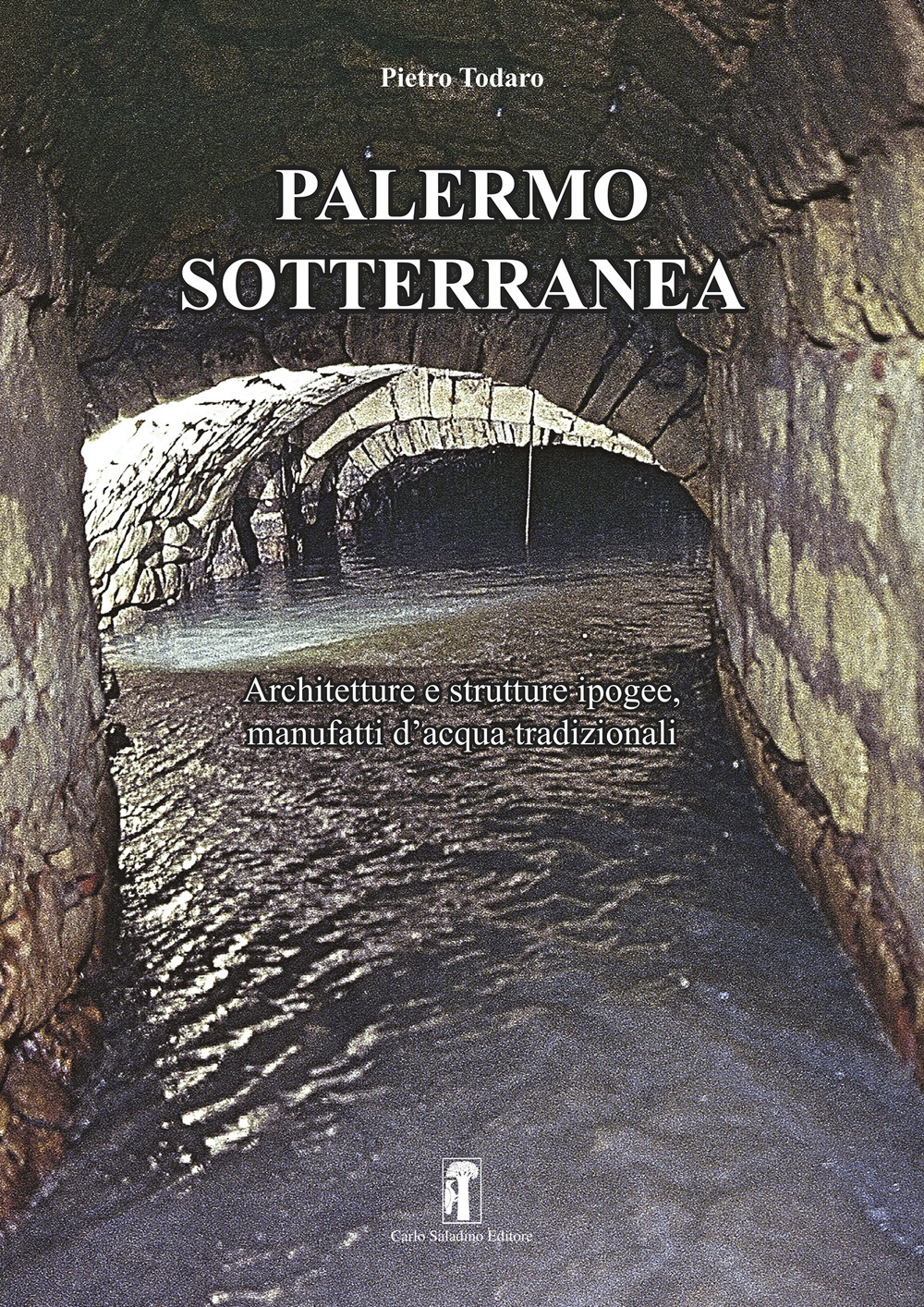 Palermo sotterranea. Architetture e strutture ipogee, manufatti d'acqua tradizionali