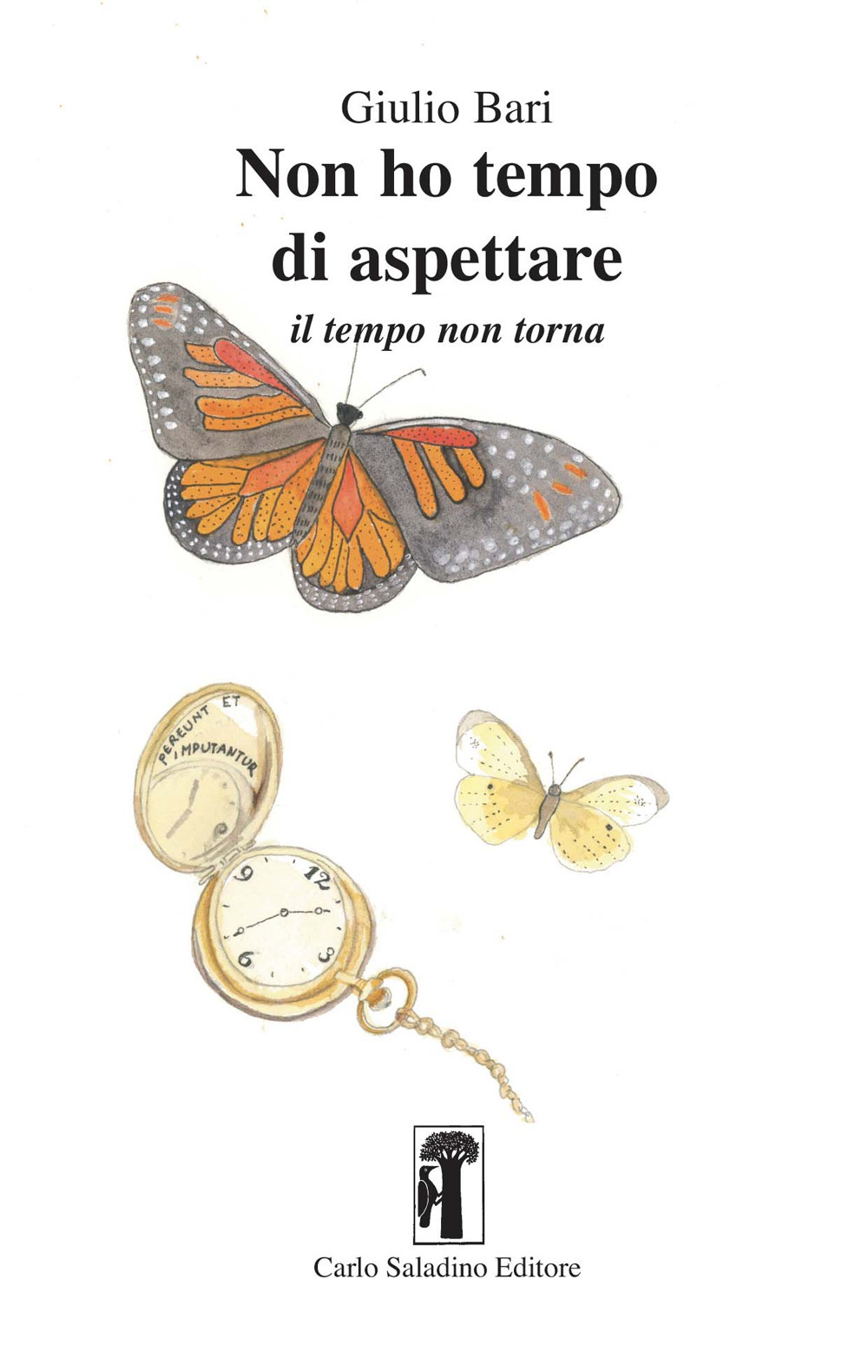 Non ho tempo di aspettare. Il tempo non torna