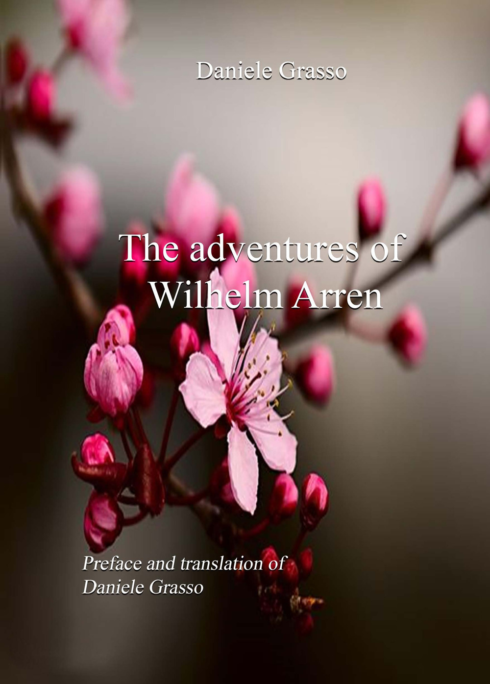 The adventures of Wilhelm Arren