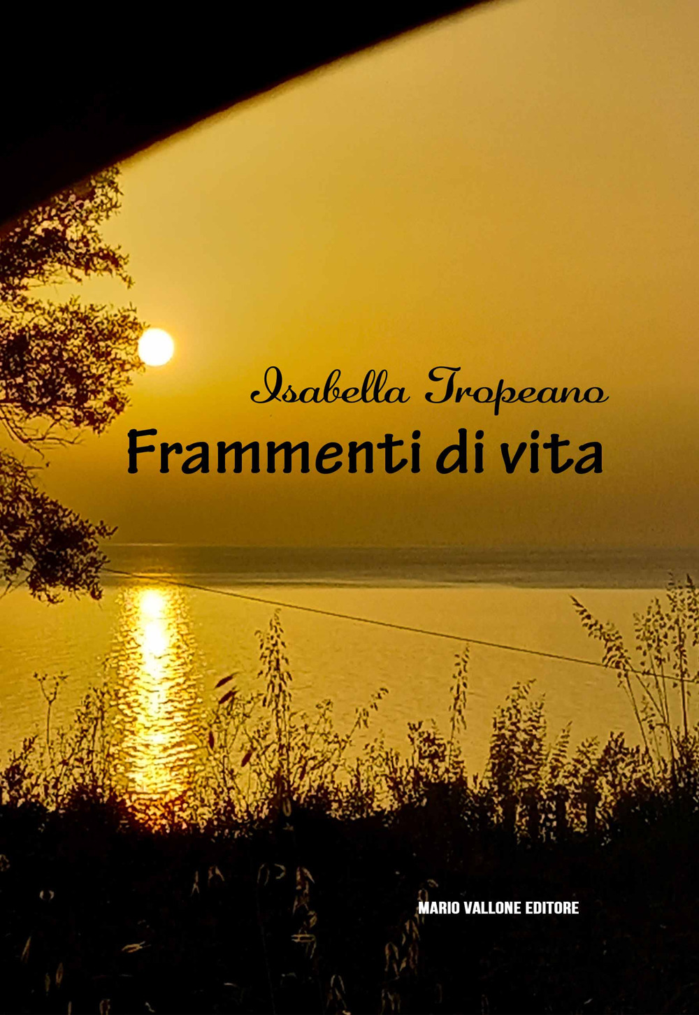 Frammenti di vita.... Versi e poesia