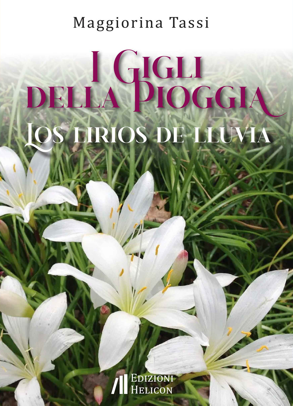 I gigli della pioggia-Los lirios de lluvia