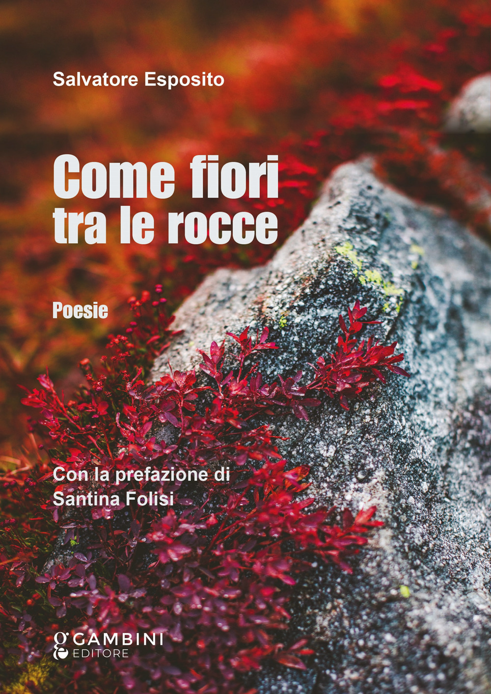 Come fiori tra le rocce