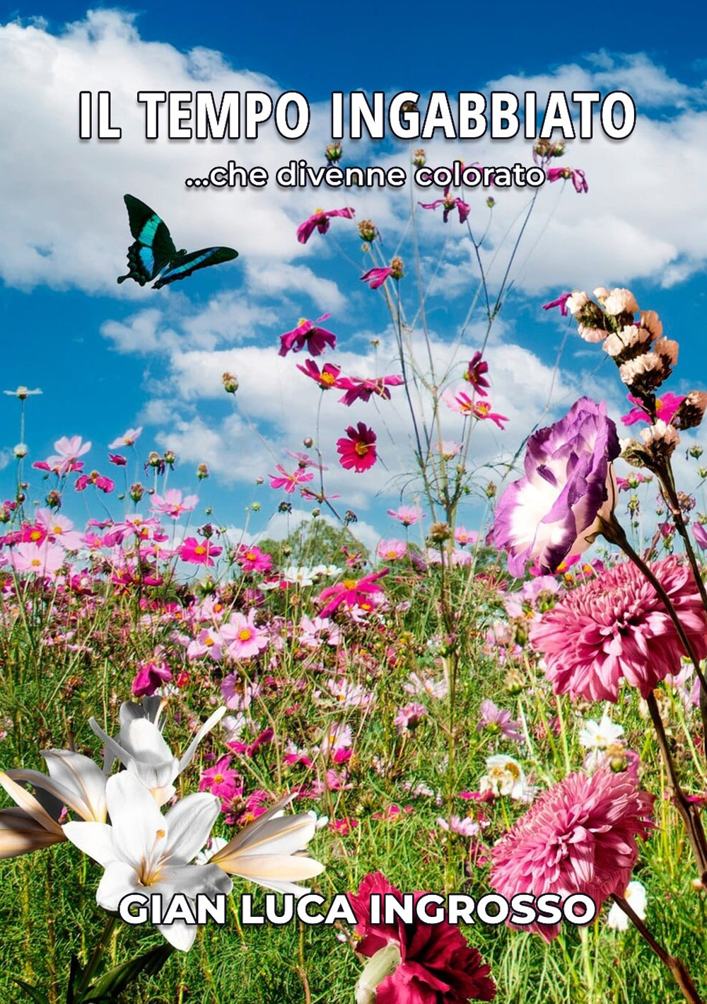 Il tempo ingabbiato …che divenne colorato