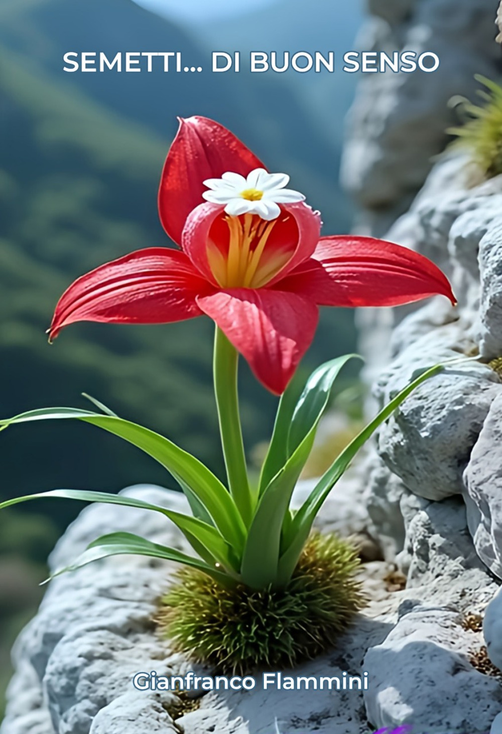 Semetti… di buon senso