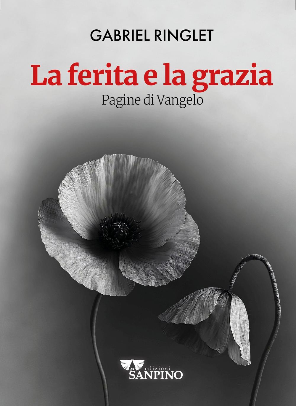 La ferita e la grazia. Pagine di Vangelo