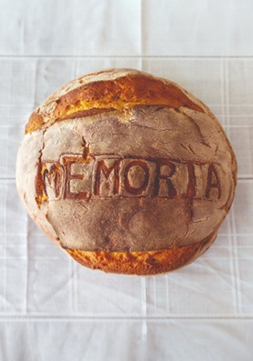 CTRL Z. Estetica dell'irreversibile e politica del segno