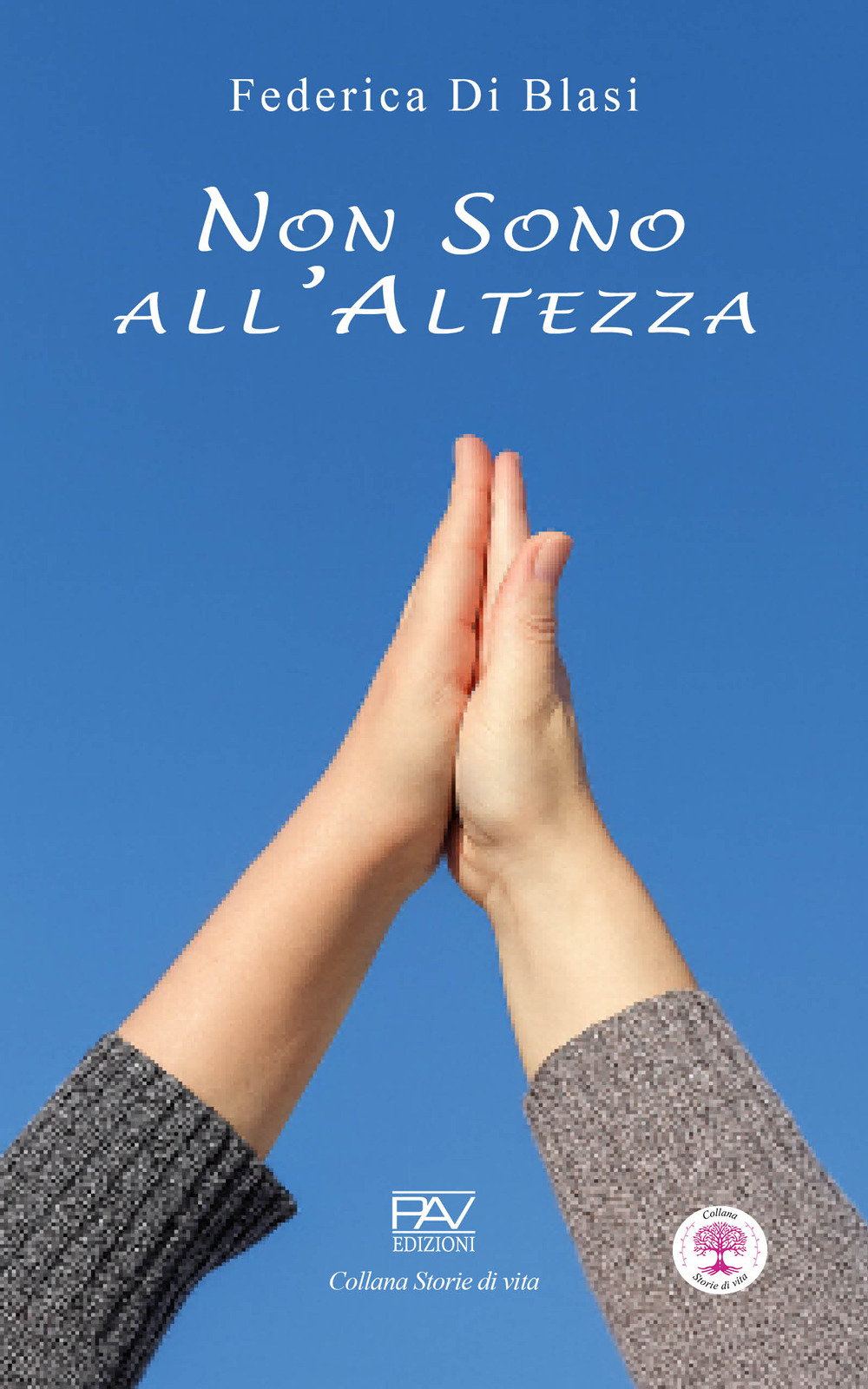 Non sono all’altezza