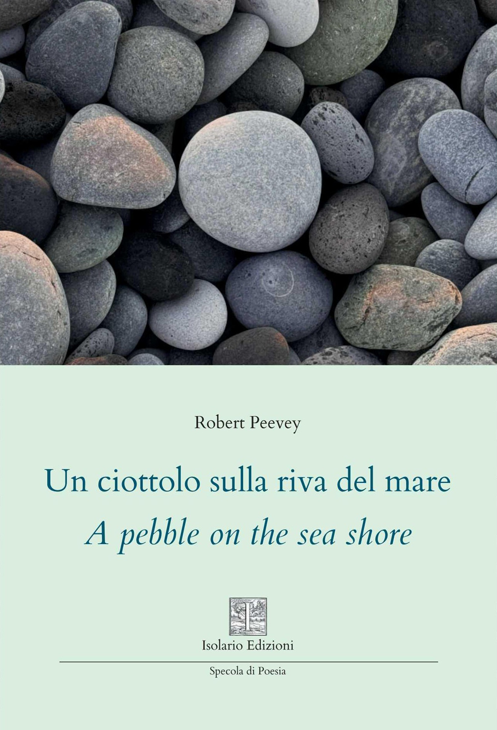 Un ciottolo sulla riva del mare. A pebble on the sea shore